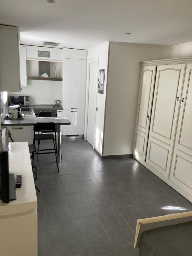Studio Villa La Cigale Avec Grande Terrasse ม็องตง ภายนอก รูปภาพ