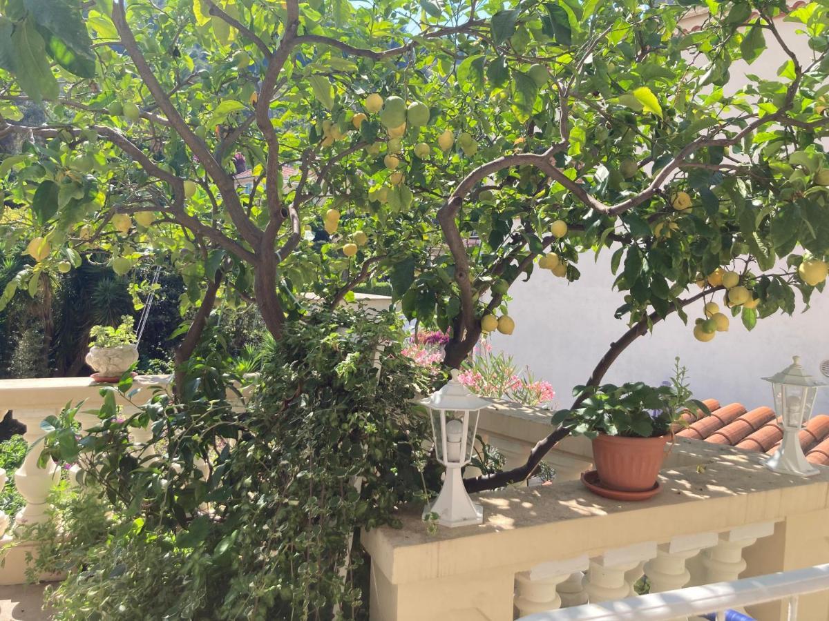 Studio Villa La Cigale Avec Grande Terrasse ม็องตง ภายนอก รูปภาพ